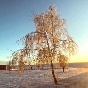 Meet your Posher, Savannah